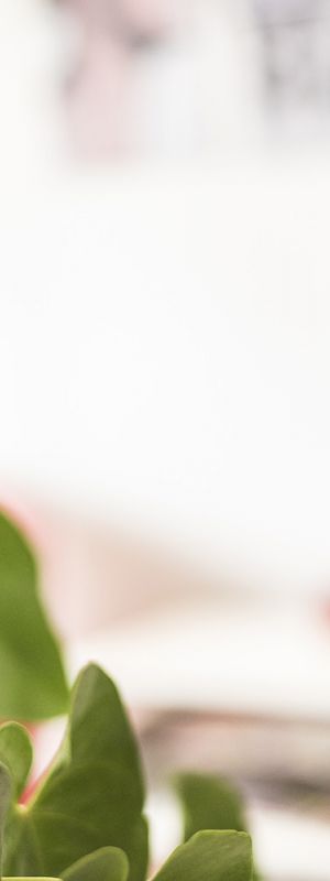 Bodywaxing4U Räume